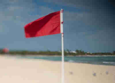 Danger: spiny sea urchins