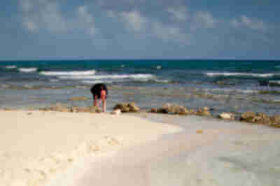 Lisa looks for sea creatures
