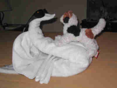 Wilma has a conversation with our towel swan