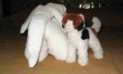 Wilma has a new friend: a towel elephant