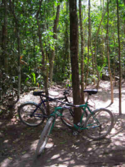 Our rental bikes
