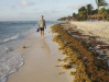 Brad walks on the beach