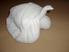 Towel art