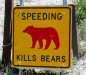 ...but apparently not deer, squirrels, elk, or any other animals