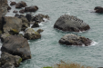 We called this "Segregation Rock"