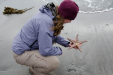 Lisa plays with a starfish