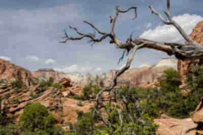Zion Canyon