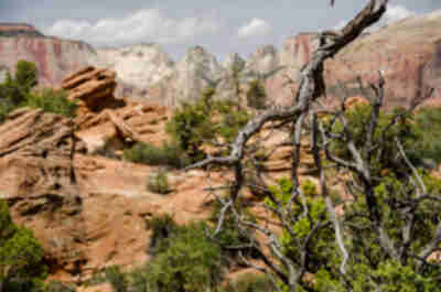 Zion Canyon