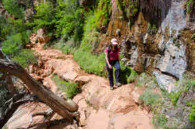 Zion Canyon