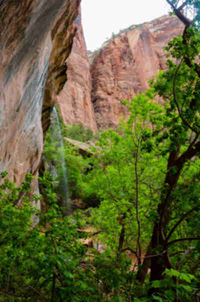 Zion Canyon