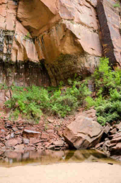 Zion Canyon