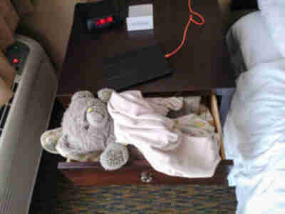 Amy decides that all of her animals need to sleep in the nightstand drawer